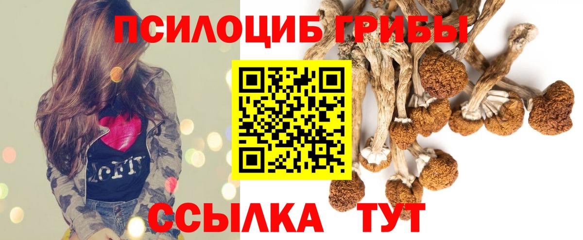 Псилоцибиновые грибы прущие грибы  Вход с VPN  Владикавказ  Галлюциногенные грибы Cubensis 
